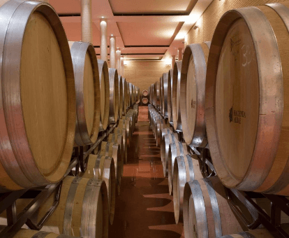 Bodegas Hacienda Albae